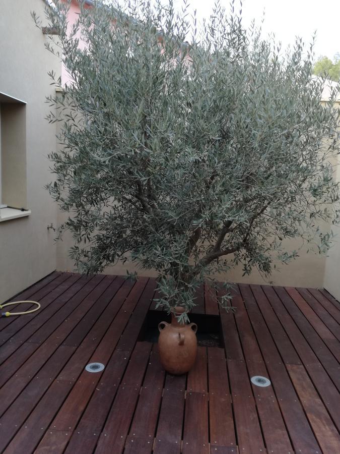 Bed and Breakfast Les Trois Oliviers Forcalquier Esterno foto