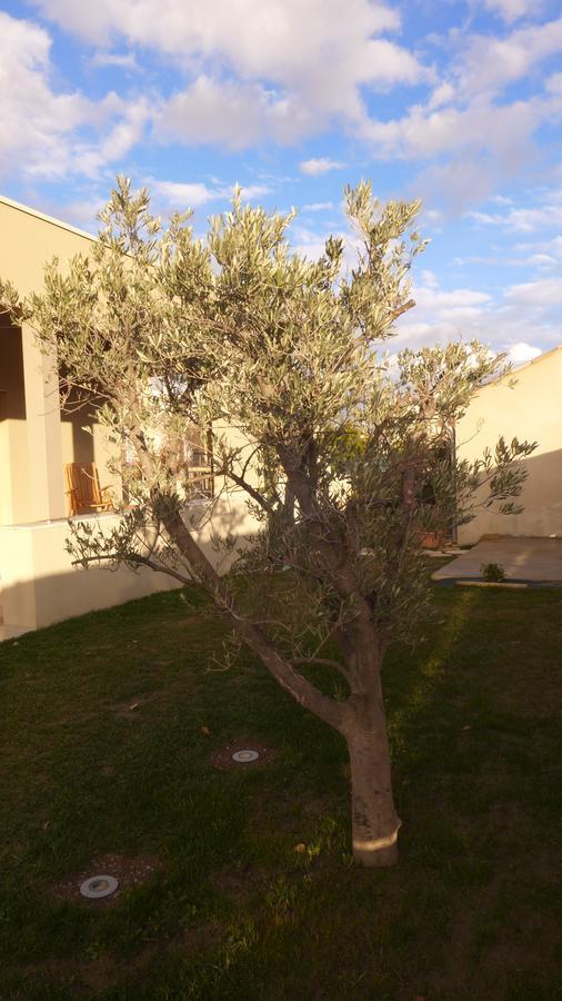 Bed and Breakfast Les Trois Oliviers Forcalquier Esterno foto